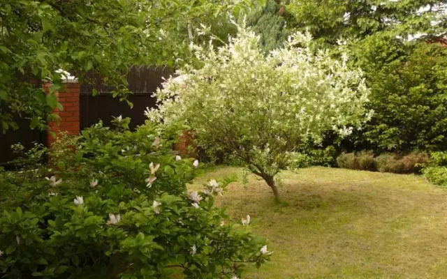 The Willton Bed & Breakfast