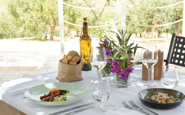 Momentum Wellness Bio Resort