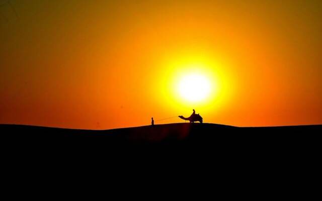Amazing Desert Camp