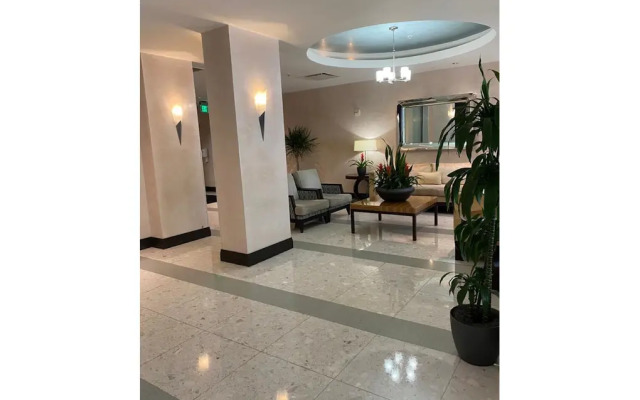 Beautiful Apartment in Hollywood Beach