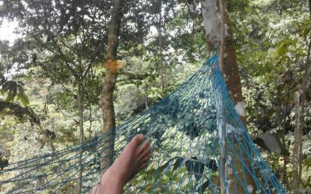 Sumatra Rainforest Eco Retreat