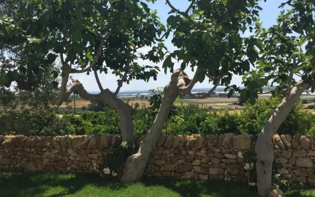 Trullo del Cavaliere