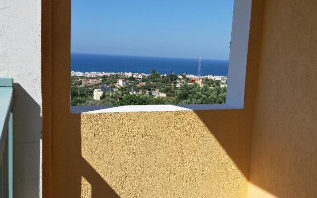 Amazones Sun