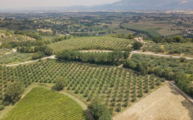 Agriturismo Maestà delle Quattro Chiavi