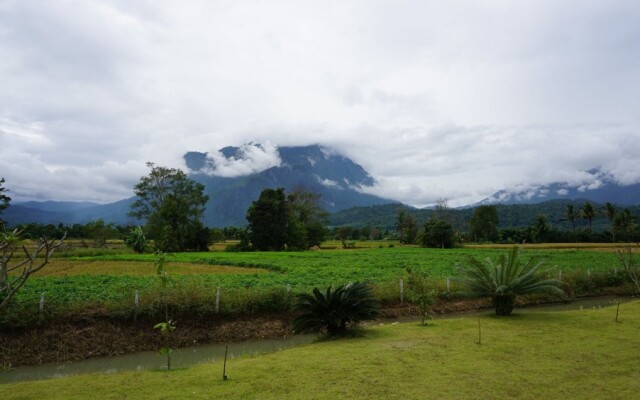 The Wes Village