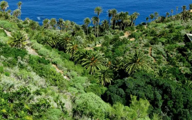 Teleworking Panoramablick Neuwertig Grosse Wohnung