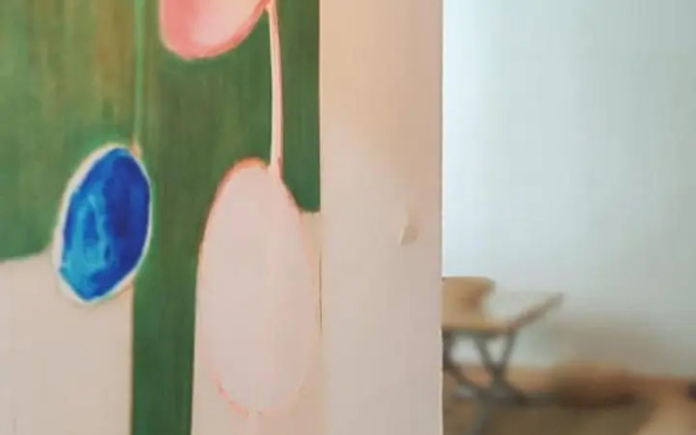 La buganvilla de Juana y Antonio