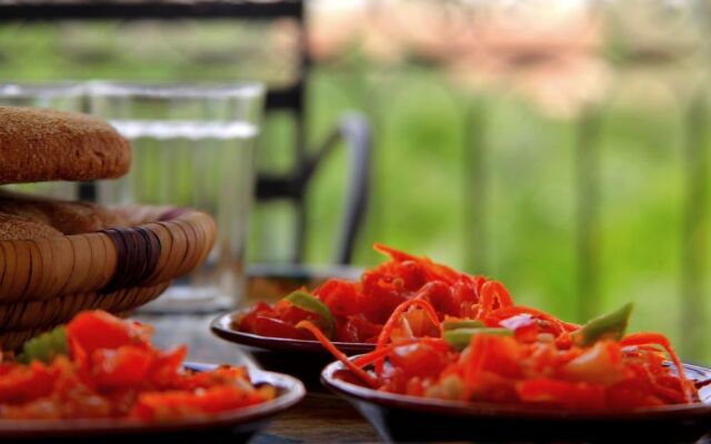 Auberge Kasbah Tiriguioute