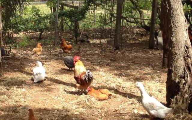 Whispering Pines B&B