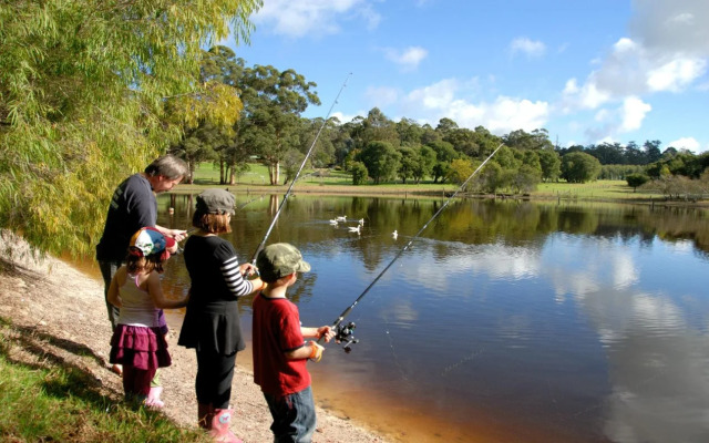 Diamond Forest Farm Stay