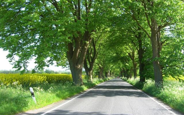 Ferienhaus Boddenhus