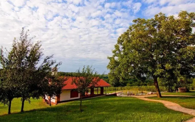 Patohill Vineyard Village