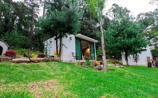 Romanticas Cabañas En Bosque