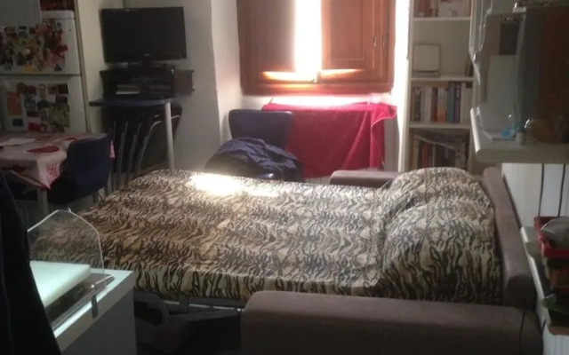 Stunning 1-sofabed Apartment in Firenze Centro