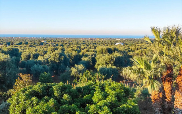 Masseria La Foggia