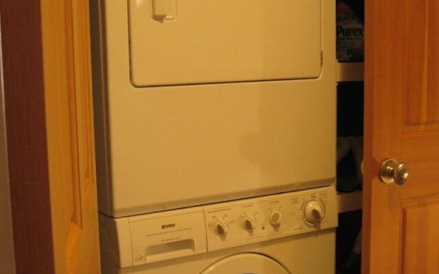 Mountain Town Properties Aladar's Guest Cabin