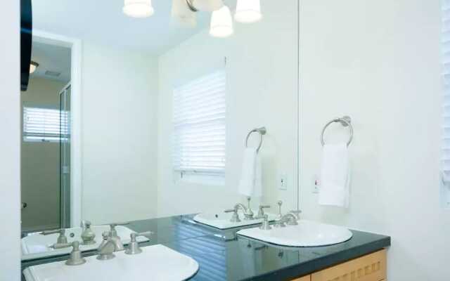 Denver Endeavor- Amazing Terrace