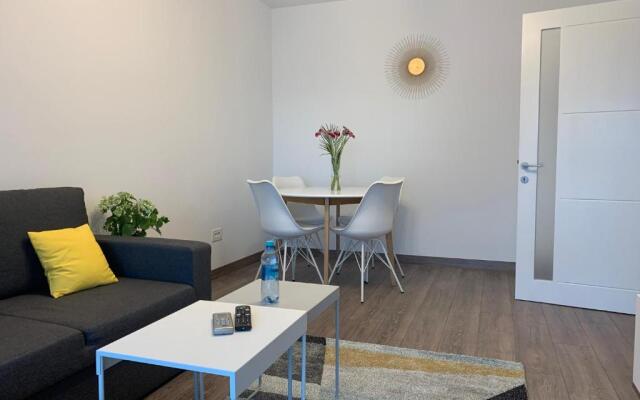 Newton luxury apartment