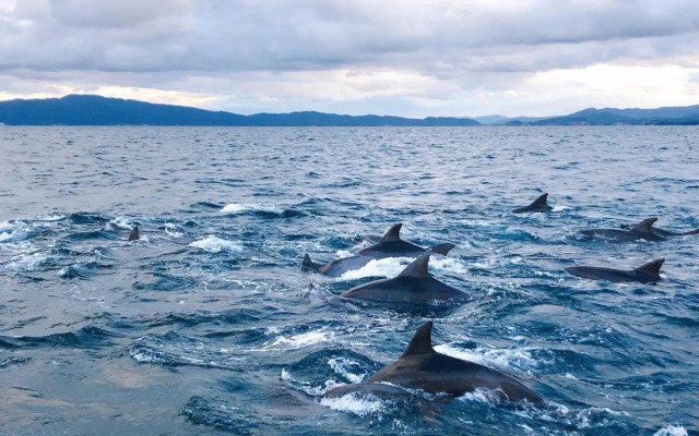 Sakitsu house TAMA - Vacation STAY 49306v