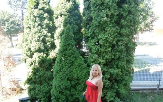 Terezia Guest-House