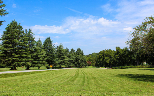 Providence Manor House Bed & Breakfast