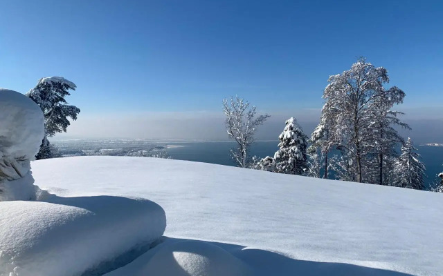 Seeblick Appartement Henle