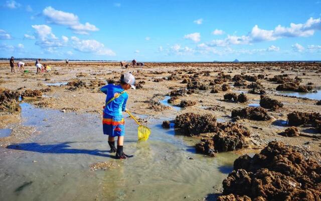 Appartement Granville, 2 Pièces, 2 Personnes - Fr-1-361-17