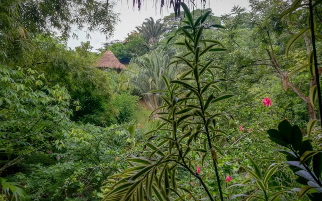 Ecohabs Bosques del Tayrona
