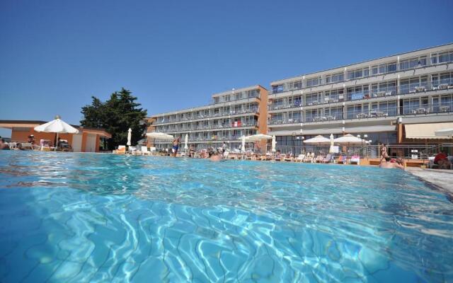 Arena Hotel Holiday