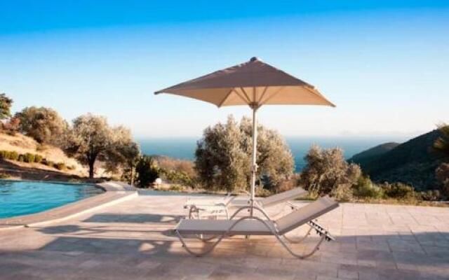 Villa Olive Garden