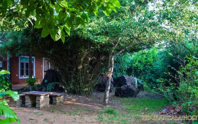 Pidurangala Hostel