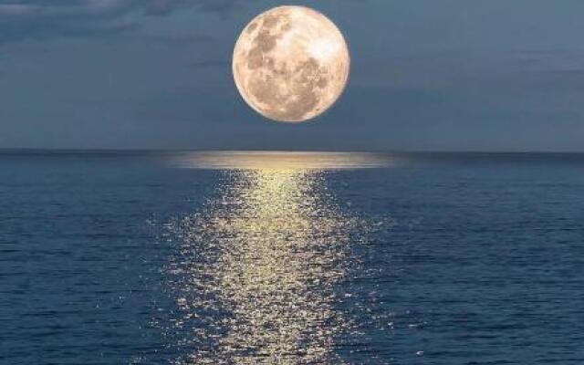 Seas the Day, 41B Ocean Avenue