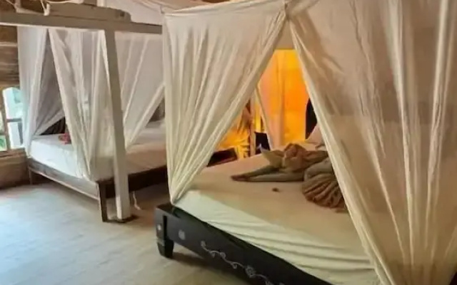 Buena Vibra