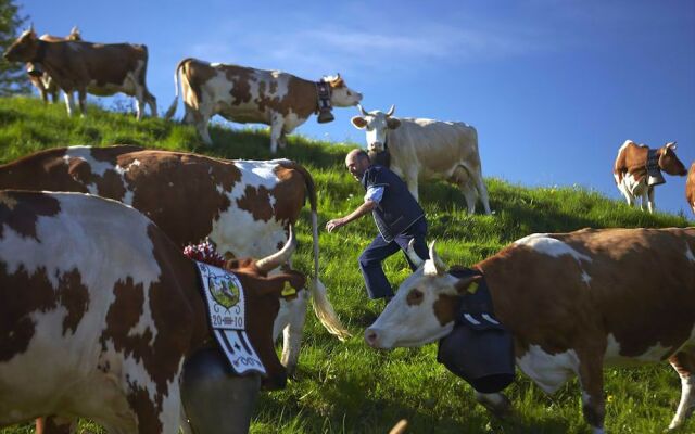 La Ferme Du Bourgoz