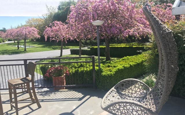 Silverstream Alpaca Farmstay and Tour