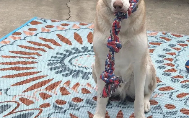 Life is Good Bed and Breakfast