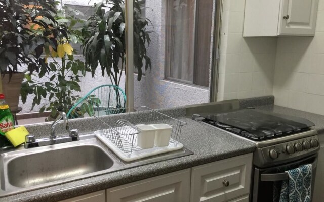 Great Apartment Near Downtown Cdmx