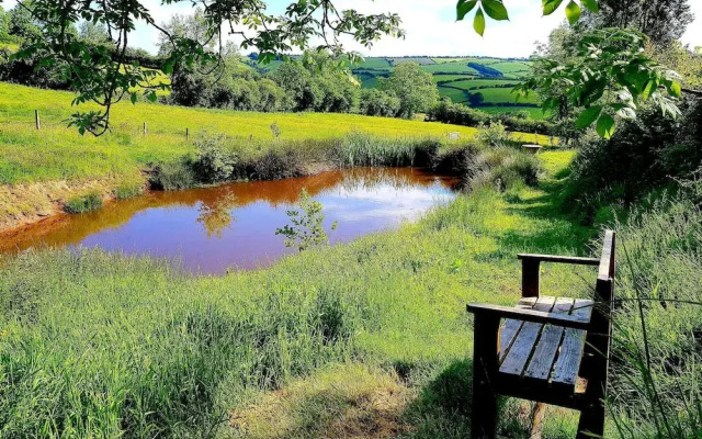 Eco Accommodation Cornflower Holiday