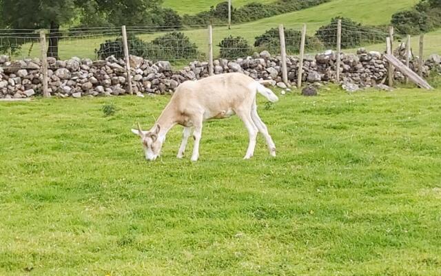Valley Lodge Room Only Guest House