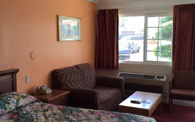 Willow Tree Lodge