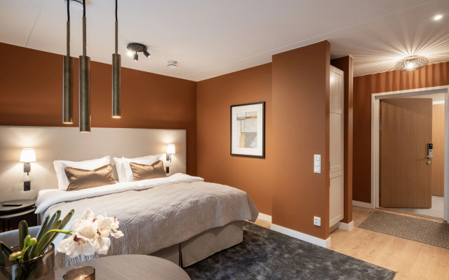 Live and Stay - Ekmanska