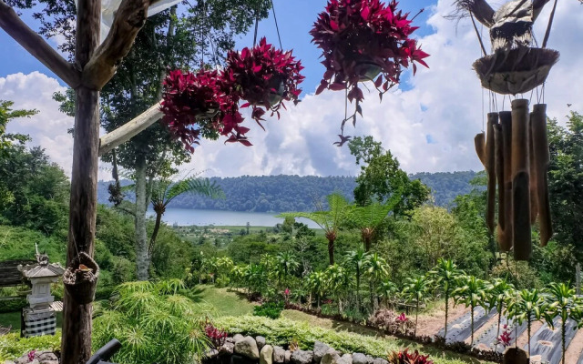 Secret Lodge Bedugul by Taritiya Collection