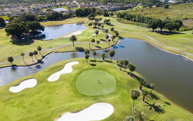 Saddlebrook Golf Resort & Spa Tampa North - Wesley Chapel