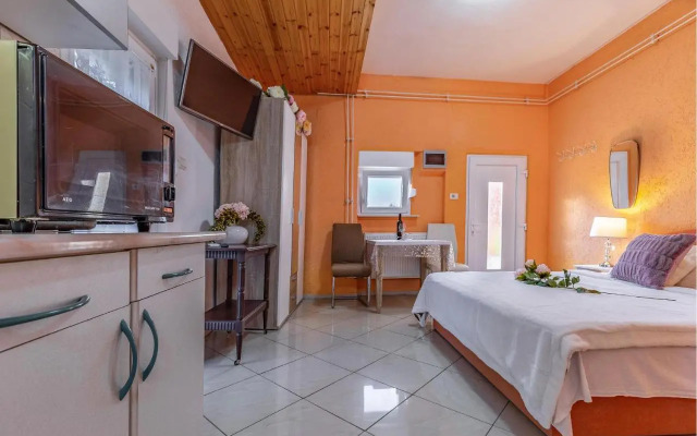 Studio Apartment in Medulin