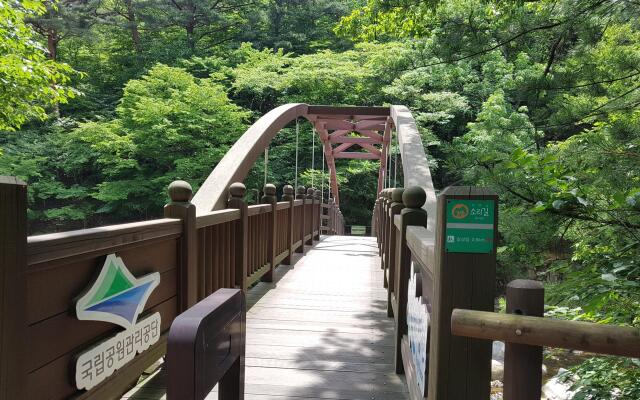 Hapcheon glamping story