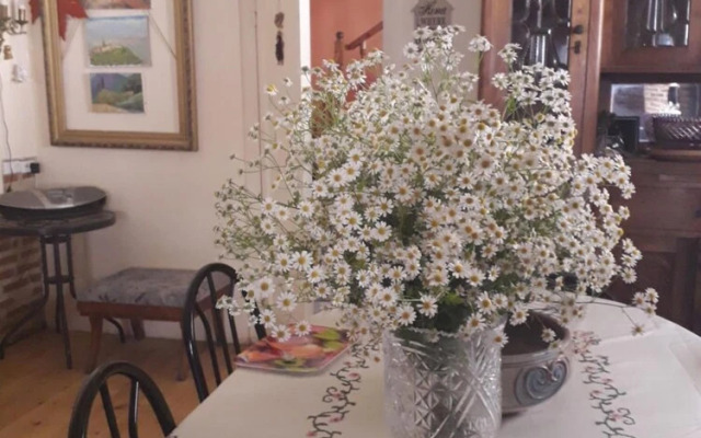 Nana's Guesthouse