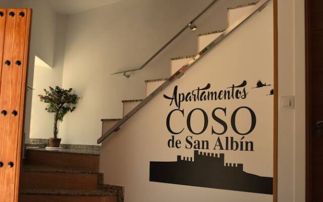 Apartamentos Coso de San Albin