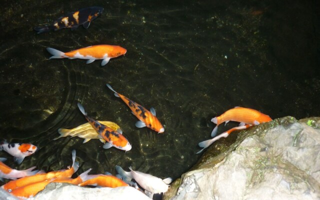 Hostel Wasabi Kyoto Machiya Soba