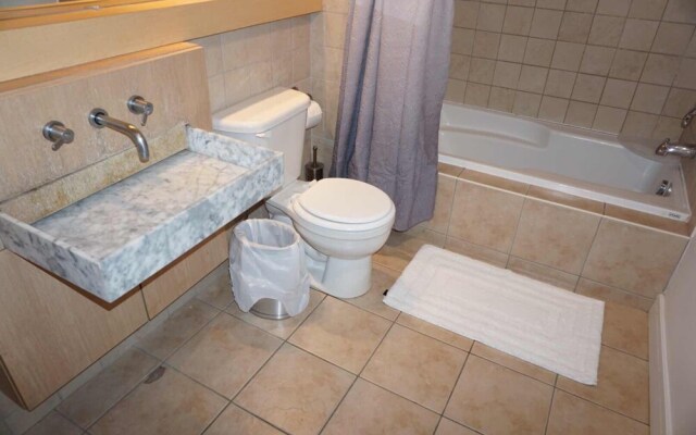 Quartier des Spectacles Downtown Loft Condos