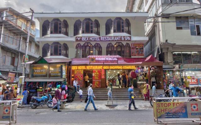 Hotel Ibex Manali